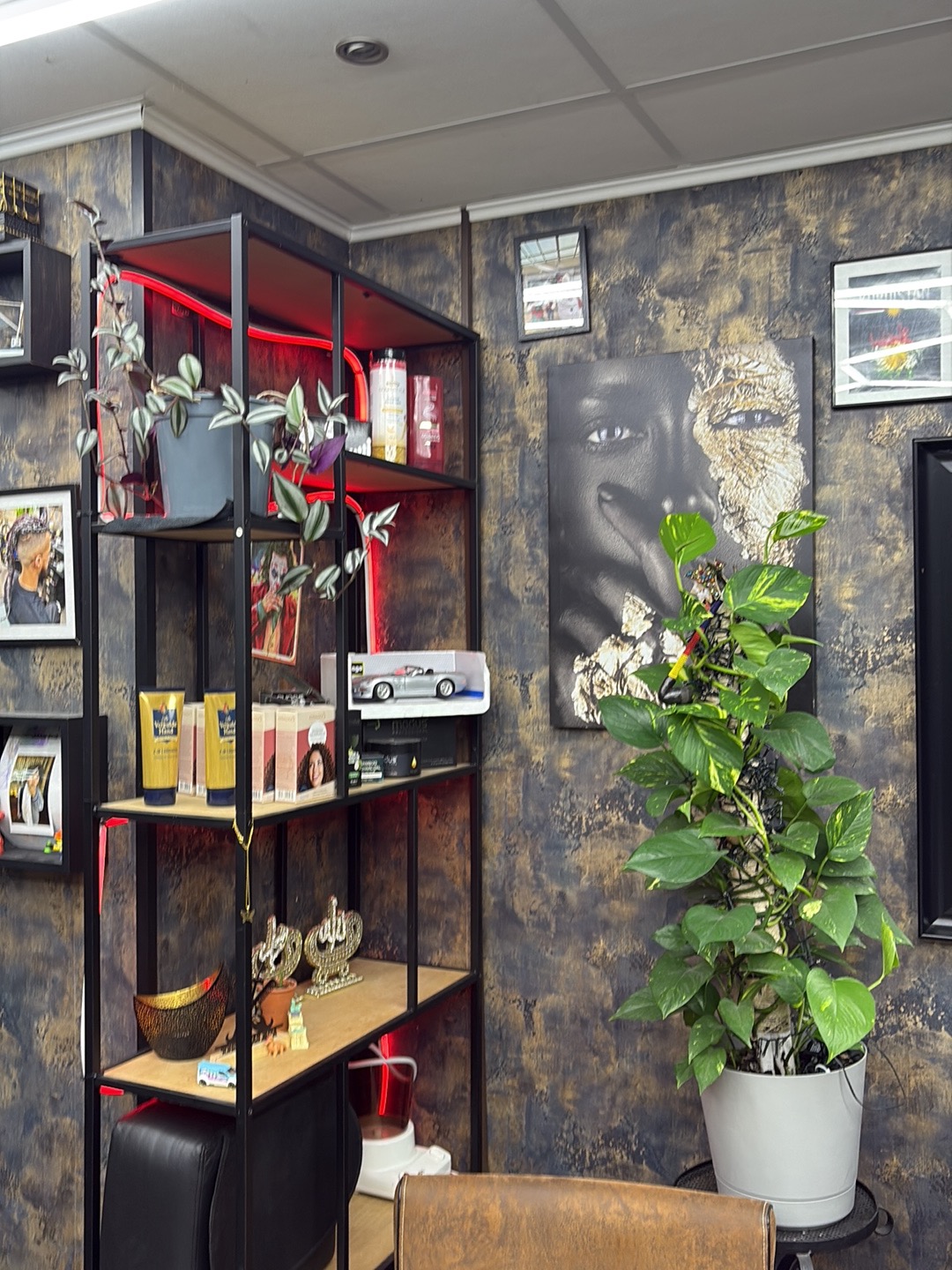 Het schap met producten en planten voor de zwart met gouden muur